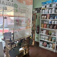   at Tente En Pie in Fuerteventura