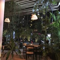 Outside at Footprint Cafes in Siem Reap