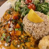 Vegan curry  at Vantra Vegan in London