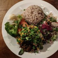 at Vantra Vegan in London