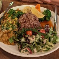 Curry at Vantra Vegan in London