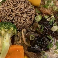   at Vantra Vegan in London