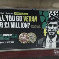  at Vantra Vegan in London