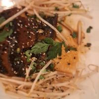  at Vantra Vegan in London