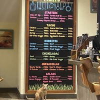   at Green Papaya in Tamarindo