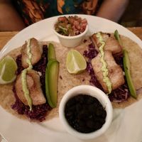  at Green Papaya in Tamarindo