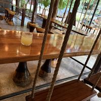 Rope swings, and margaritas!  at Green Papaya in Tamarindo