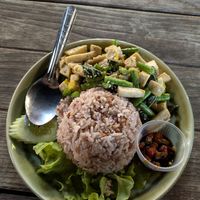 Krapow Tofu with Rice at V Secret Street Food - Food Stall in Chiang Mai