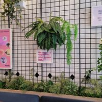 Inside wall at Parka Food Co. in Toronto