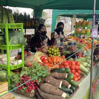 Everything fresh  at Feria Ecologica De Barranco in Lima