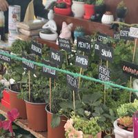   at Feria Ecologica De Barranco in Lima