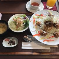 Soy meat, rice and salad at Itadaki Kinkakuji in Kyoto