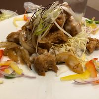 Soy meat meal with rice (underneath) - bigger than it looks! at Itadaki Kinkakuji in Kyoto