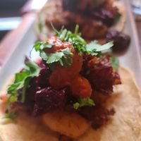  at Bodega Underground in Melbourne