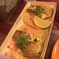Fried zucchini tacos   at Bodega Underground in Melbourne