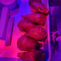  at Nice Guys Pizza and Beer in Cape Coral