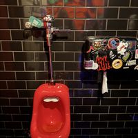   at Nice Guys Pizza and Beer in Cape Coral