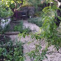 The secret garden at Shangrila Hilltop Retreat in Loule