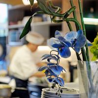 Open kitchen at Co Chu in Berlin