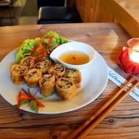 Vegetarian springrolls at Co Chu in Berlin