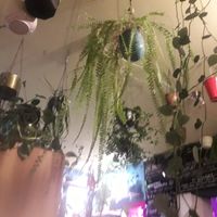 Inside 2 at Geranium Caffe in Poznan