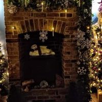  at Phoenix Plant Based Eatery in Prescot