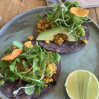 Scrambled tofu tacos. Very plain and small portion for what was charged.  at Vanilla Food in Noosaville