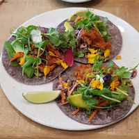 Jackfruit tacos at Vanilla Food in Noosaville