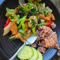 Hell fire chicken (medium) had the perfect amount of spice at Samata Vegan House in Hollywood