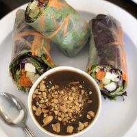 Spring Rolls, for got to take more photos :) at Samata Vegan House in Hollywood