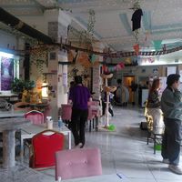  at Purple Cat Cafe in Glasgow