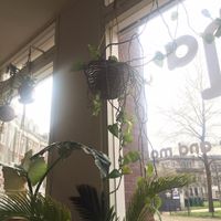 decor at Buddha Bowl in The Hague