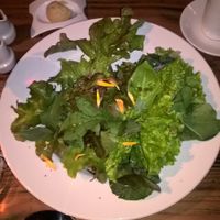 Salad with lots of different types of leaves at Martin Pescador in Futaleufu