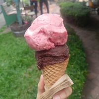  at Utopia Ice in Christchurch