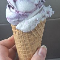 Coconut, Vanilla Bean & Black Currant vegan ice cream at Utopia Ice in Christchurch