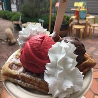 Vegan waffle (6,-) with double scoop raspberry and dark chocolate (8,-) and coconut cream (1,-) 😋 at Utopia Ice in Christchurch