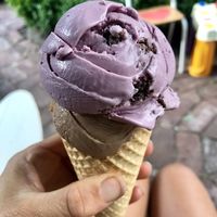 coconut blackberry crumble and coconut dark chocolate cacao nibs at Utopia Ice in Christchurch