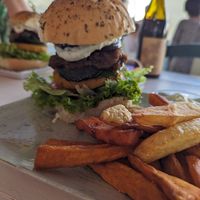  at Happy Cactus in Fuerteventura