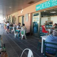 Busy busy! at Happy Cactus in Fuerteventura