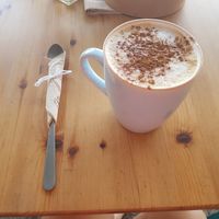 #Veganuary at Happy Cactus in Fuerteventura