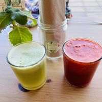   at Happy Cactus in Fuerteventura