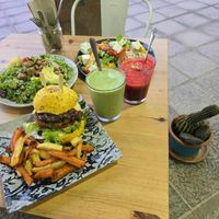  at Happy Cactus in Fuerteventura