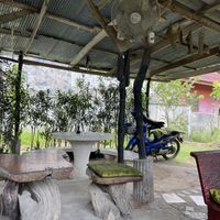   at Organic Vegetarian Food by Mrs. Pong in Koh Phangan