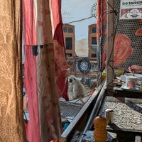 Views & monkeys at The Laughing Buddha Cafe in Pushkar