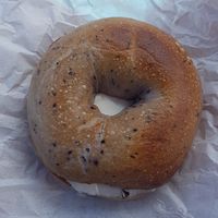 Blueberry bagel with vegan cream cheese at Black Market Bagels in Port Macquarie