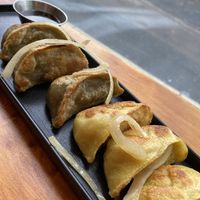 Potstickers  at Hakka Kitchen in Jacksonville