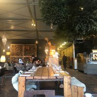 Restaurant during Christmas time at Buitenplaats de Plantage in Vogelenzang