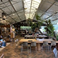 Inside  at Buitenplaats de Plantage in Vogelenzang