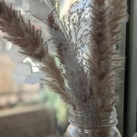 Decor at The Moth Cafe - Downtown in Edmonton