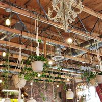  at The Moth Cafe - Downtown in Edmonton